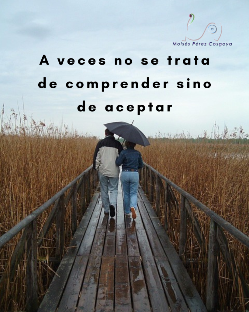 A veces no se trata de comprender sino de aceptar