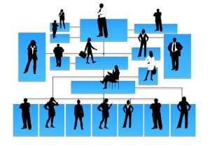 Tu Organización Ideal